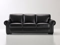 Canapé 3 places - Cuir - 217 x 94 x 89 cm - Noir - Style classique sobre